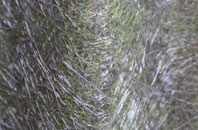 East Beach fibreglass roof work